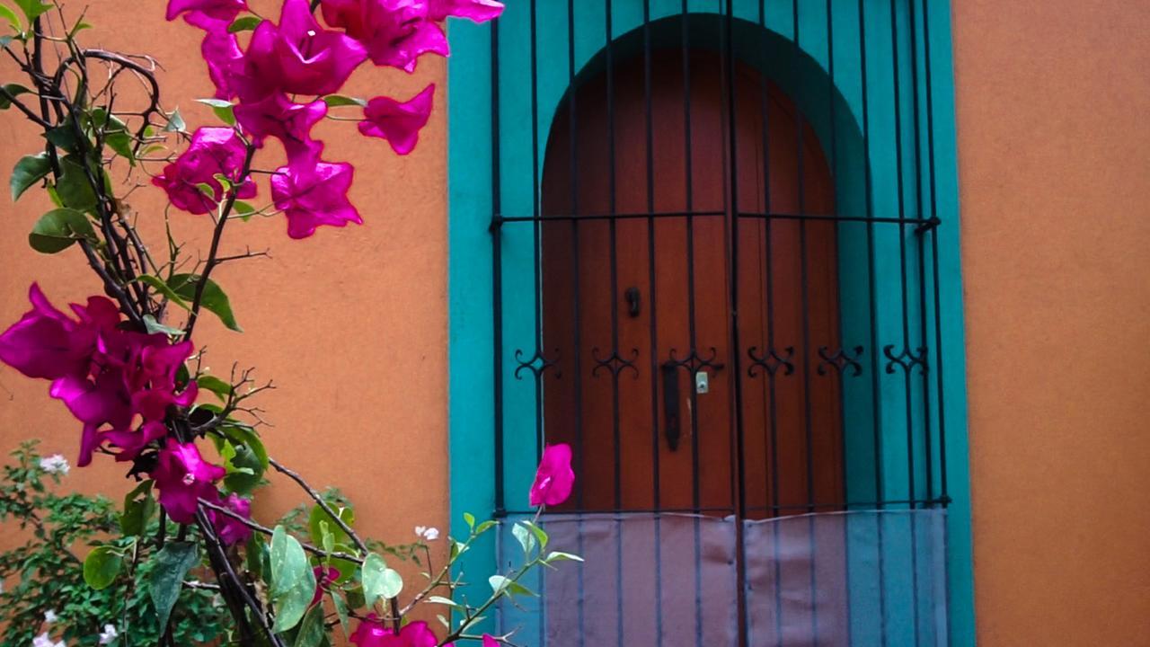 Casa Frida B&B Oaxaca Extérieur photo