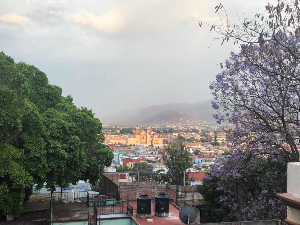 Casa Frida B&B Oaxaca Extérieur photo