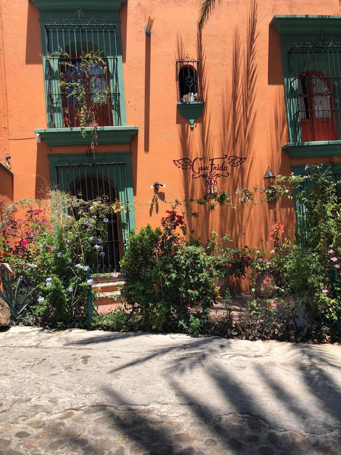 Casa Frida B&B Oaxaca Extérieur photo
